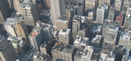 ANTnewyork.jpg